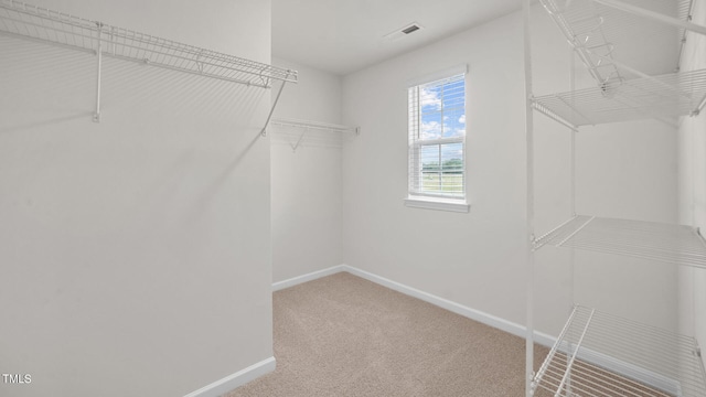 walk in closet featuring carpet floors