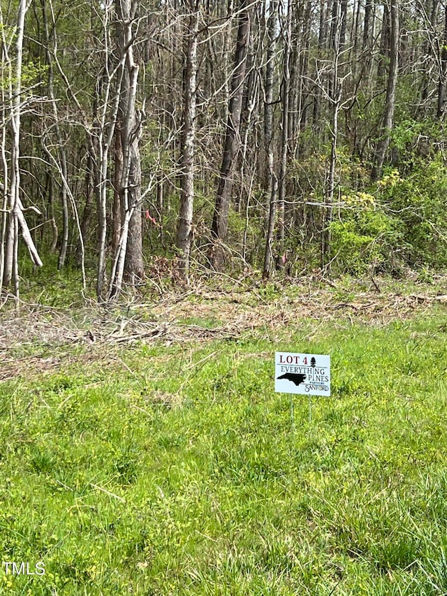 LOT4 Elmer Moore Rd, Siler City NC, 27344 land for sale