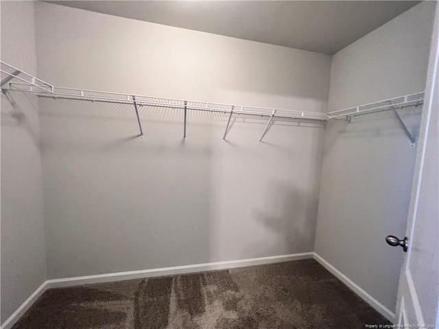 walk in closet featuring carpet