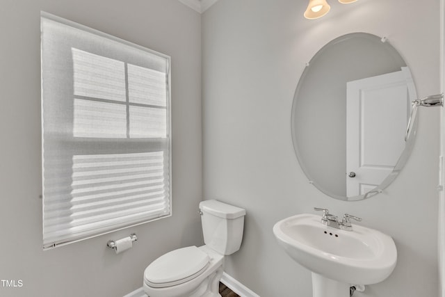 bathroom featuring sink and toilet