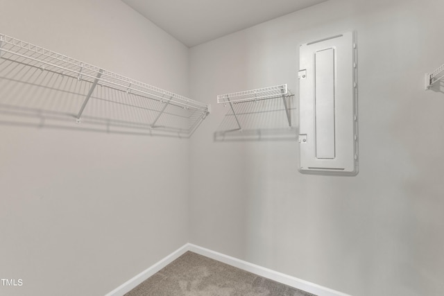 spacious closet with electric panel and carpet floors