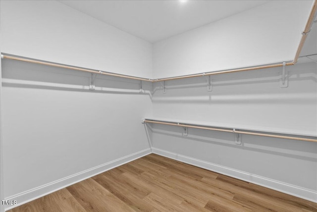 walk in closet featuring hardwood / wood-style floors