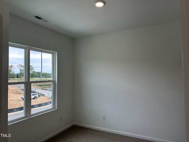 carpeted empty room with a healthy amount of sunlight