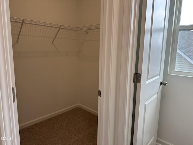 walk in closet featuring carpet