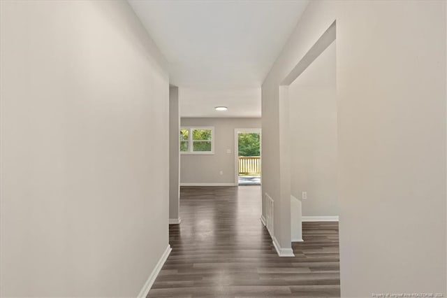 hallway featuring dark wood-type flooring