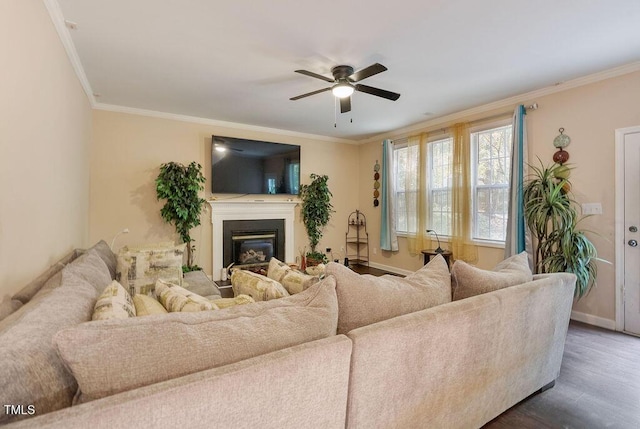 65 Applegate Dr, Franklinton, NC 27525 - living room with baseboards, ornamental molding, a glass covered fireplace, and ceiling fan