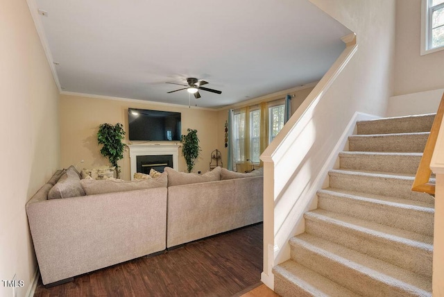 65 Applegate Dr, Franklinton, NC 27525 - living room featuring stairway, ornamental molding, a ceiling fan, and dark wood finished floors