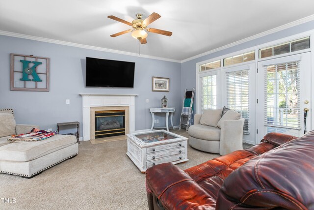 carpeted living room featuring a high end fireplace, crown molding, and ceiling fan