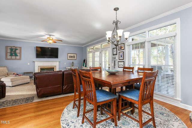 dining area with ornamental molding, ceiling fan with notable chandelier, and light wood-type flooring