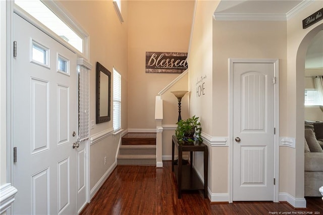 entrance foyer with crown molding and dark hardwood / wood-style flooring