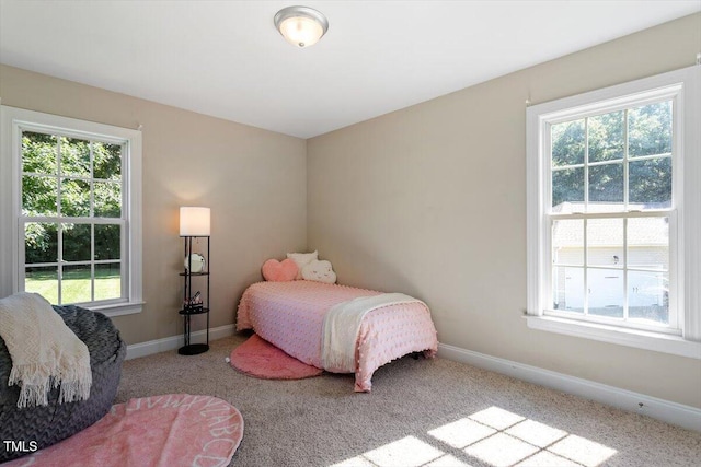 85 King Mackeral Ct, Willow Springs, NC 27592 - photo 23