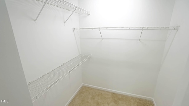 spacious closet featuring light colored carpet