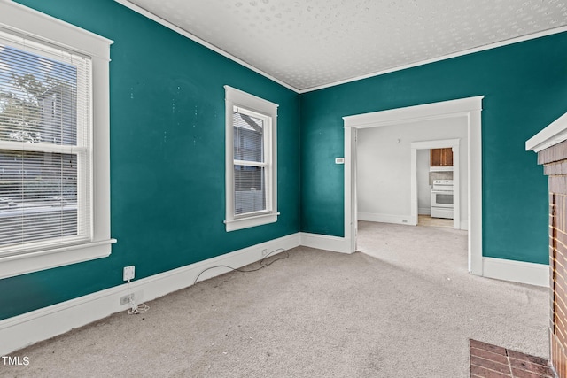 spare room with crown molding, a textured ceiling, and carpet flooring