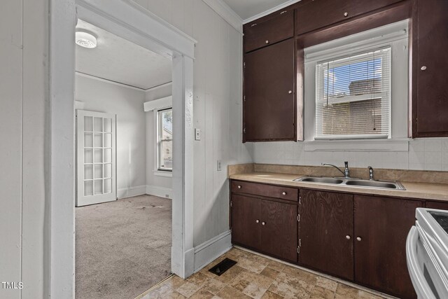 810 E Edenton St, Raleigh, NC 27601 - kitchen with white stove, ornamental molding, light countertops, plenty of natural light, and light colored carpet