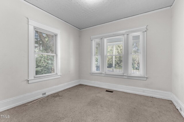 810 E Edenton St, Raleigh, NC 27601 - carpeted spare room with healthy amount of natural light and a textured ceiling