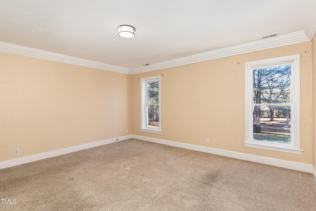 empty room featuring carpet and crown molding