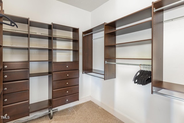 walk in closet with light colored carpet