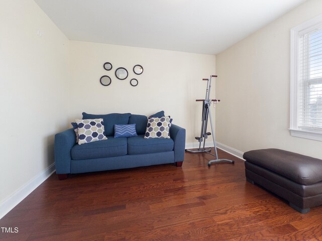 living room featuring dark hardwood / wood-style flooring