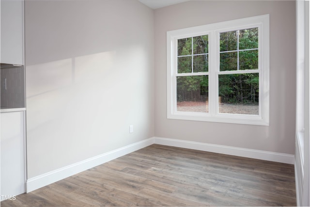 empty room featuring a wealth of natural light and hardwood / wood-style flooring