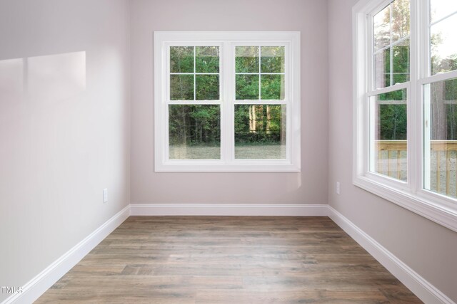 spare room with wood-type flooring