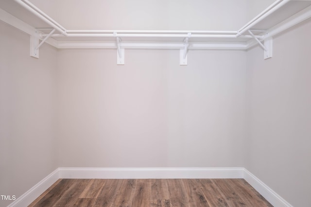 spacious closet featuring dark hardwood / wood-style flooring