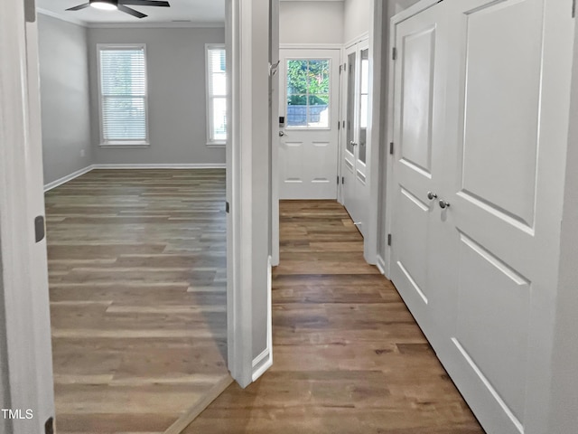 1505 Juniper St, Durham, NC 27703 - doorway with wood finished floors, healthy amount of natural light, baseboards, and crown molding
