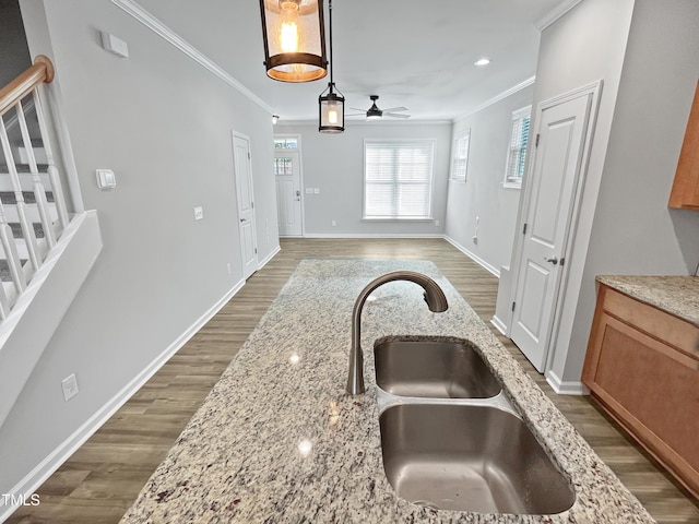 1505 Juniper St, Durham, NC 27703 - kitchen featuring crown molding, a sink, ceiling fan, wood finished floors, and light stone counters
