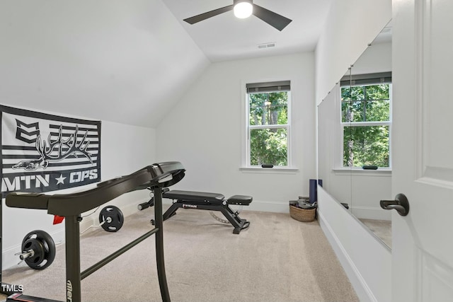 workout room with lofted ceiling, plenty of natural light, carpet, and visible vents