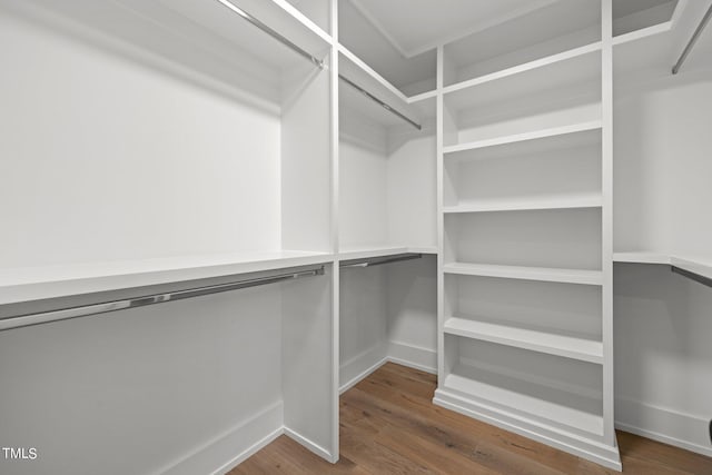 spacious closet featuring wood finished floors