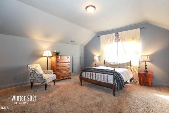 bedroom featuring carpet and vaulted ceiling