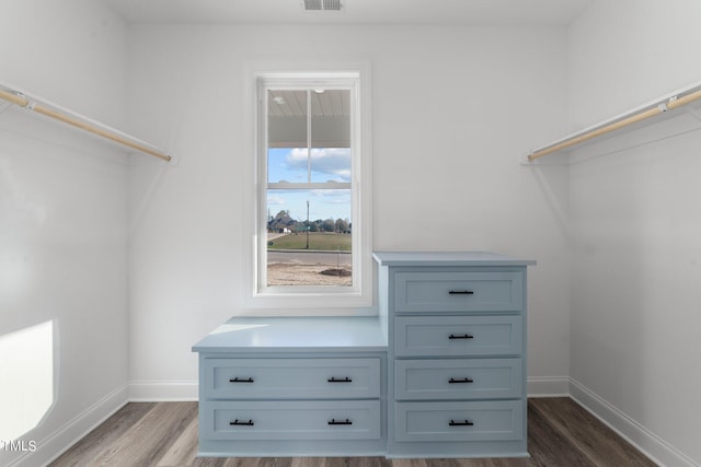 spacious closet featuring wood-type flooring