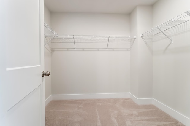 walk in closet with light colored carpet