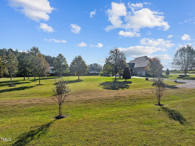 view of home's community with a yard