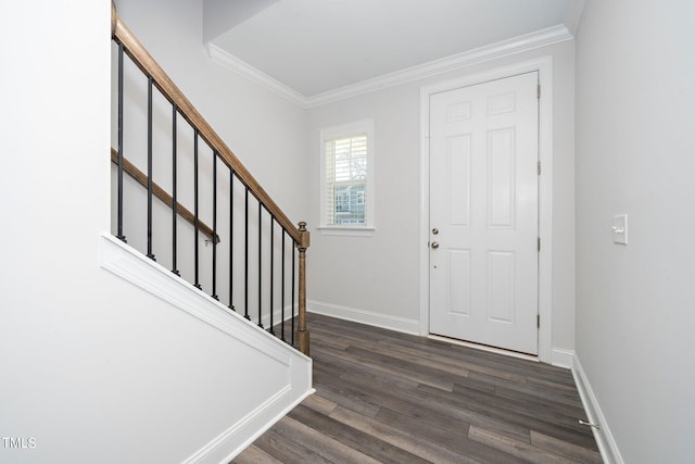 foyer entrance featuring dark wood-type flooring and crown molding