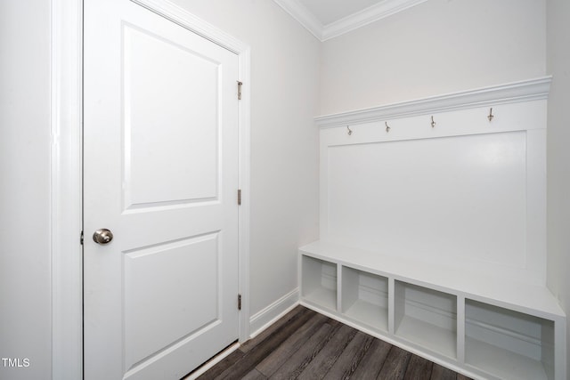 mudroom featuring crown molding and dark wood-type flooring