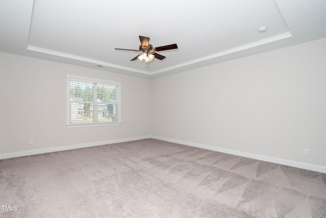 empty room featuring a tray ceiling and carpet flooring