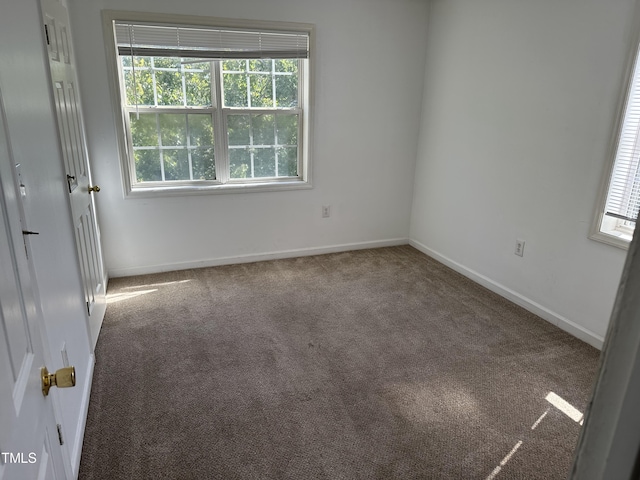 carpeted empty room with a healthy amount of sunlight