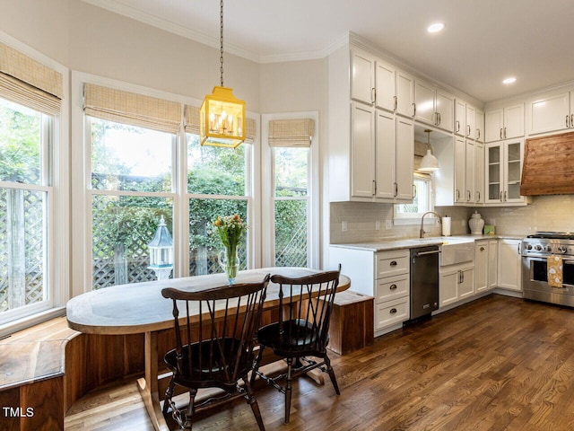 kitchen featuring decorative light fixtures, dark hardwood / wood-style flooring, stainless steel appliances, and plenty of natural light