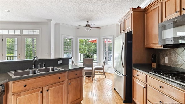 kitchen with ornamental molding, sink, light wood-type flooring, appliances with stainless steel finishes, and ceiling fan