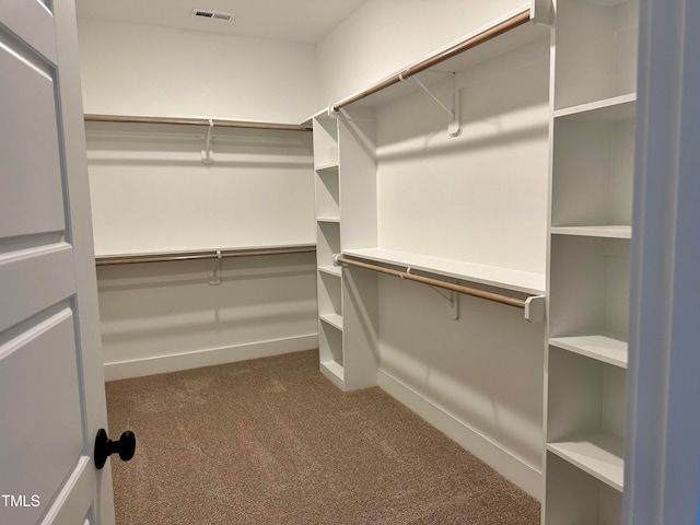 walk in closet featuring carpet floors