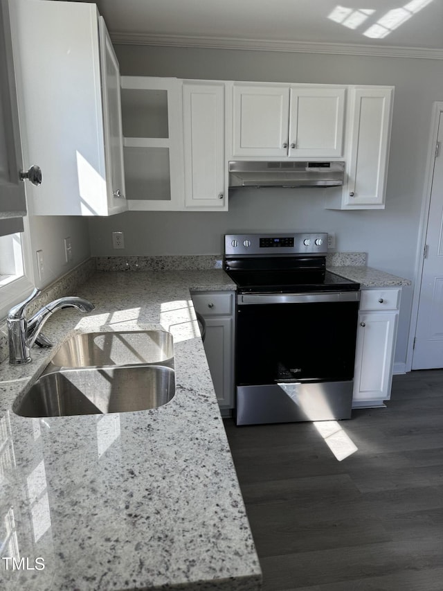 913 Greenleaf St, Goldsboro, NC 27530 - kitchen featuring stainless steel range with electric cooktop, under cabinet range hood, a sink, ornamental molding, and white cabinetry