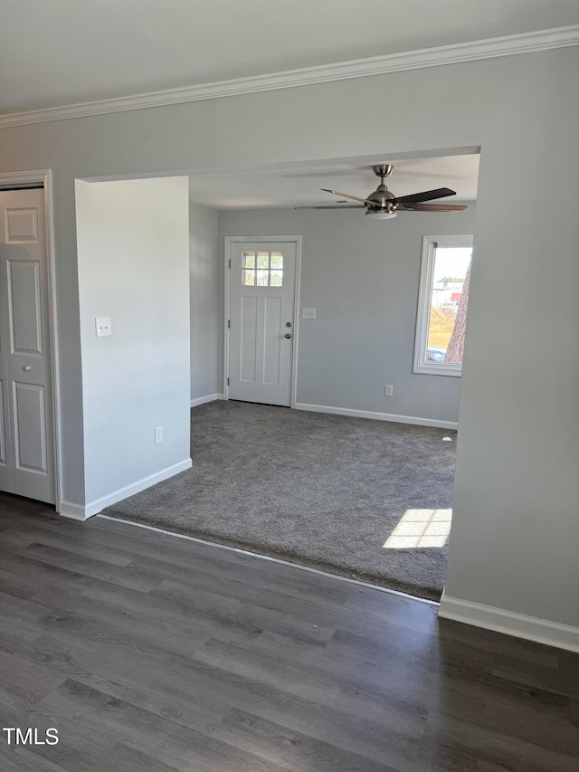 foyer entrance featuring a wealth of natural light and dark wood-type flooring