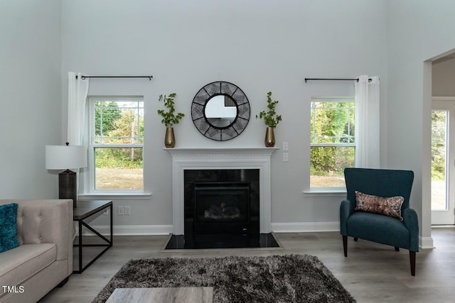 living room with hardwood / wood-style floors and plenty of natural light