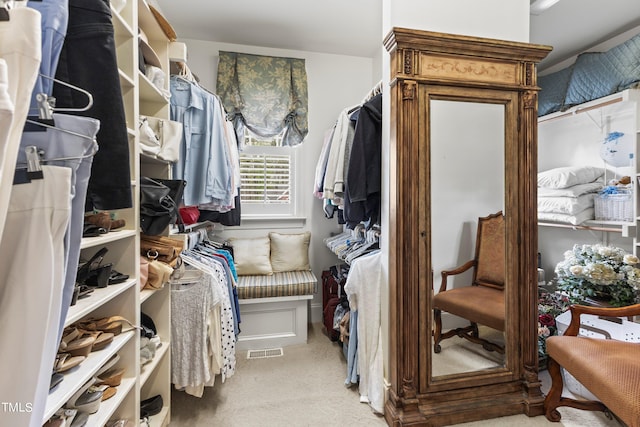 spacious closet with light colored carpet