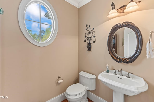 bathroom with toilet, ornamental molding, and sink