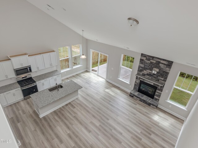 unfurnished living room with a healthy amount of sunlight and light hardwood / wood-style floors