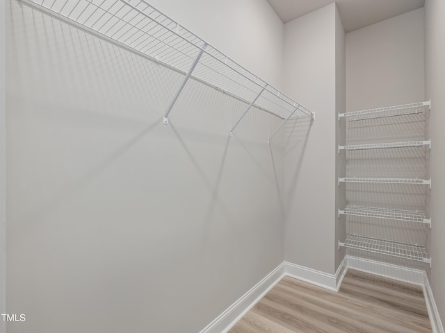 walk in closet with hardwood / wood-style flooring