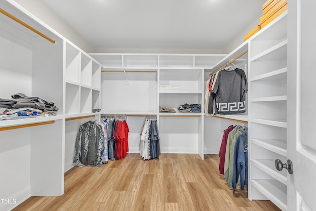 spacious closet featuring light hardwood / wood-style flooring