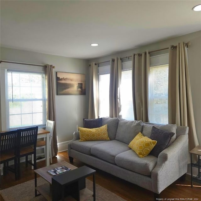 living room featuring dark wood-type flooring