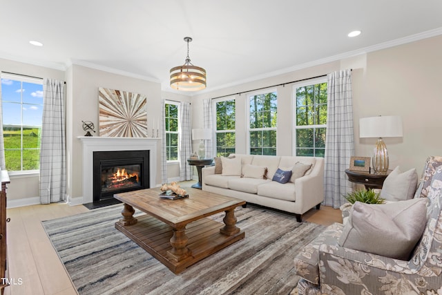 living room with light hardwood / wood-style floors and ornamental molding